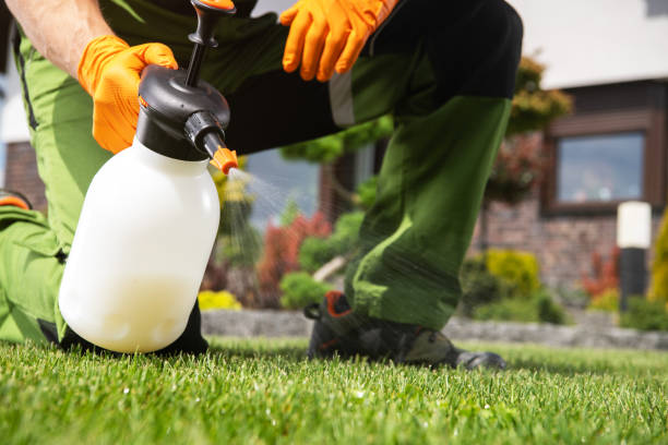 Reliable Columbus, TX Pest Control Solutions